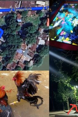 berita-rekomendasi-foto